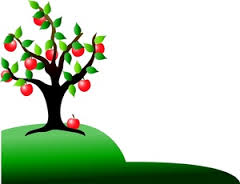 NC Cooperative Extension Service 2014 Plant Sale